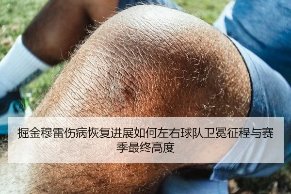 掘金穆雷伤病恢复进展如何左右球队卫冕征程与赛季最终高度